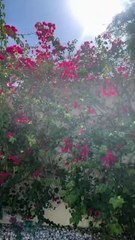 المدوّنات العربيات يلهمننا لعطور هذا الصيف