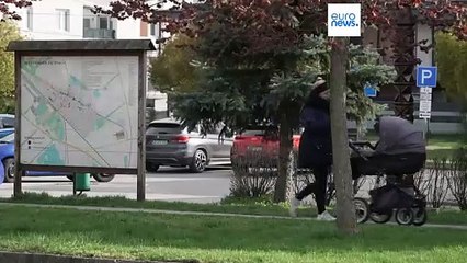 Hongrie : des images choquantes du bétail en décomposition enterré à Hegyeshalom