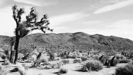 ادخلي معنا إلى عالم عطر Eau De Californie من CELINE