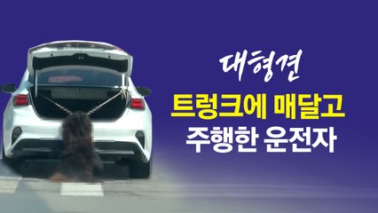 차량 트렁크에 매달려 끌려간 차우차우, 결국... [앵커리포트] / YTN