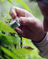 أطيلي شباب بشرتك مع Orchidée Impériale The Cream المطوّر