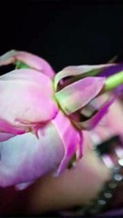 كيندل جينير كما لم تريها من قبل في حملة جيفنشي الجديدة