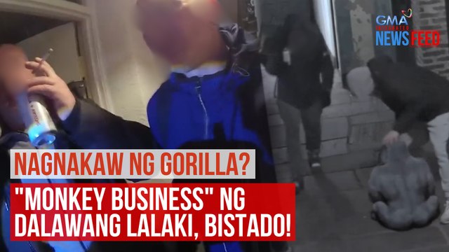 NAGNAKAW NG GORILLA? Monkey business ng dalawang lalaki, bistado! | GMA Integrated Newsfeed