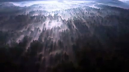 إيلي غولدنغ تعتمد فستاناً دراماتيكياً في نهائي كأس كارتييه للبولو