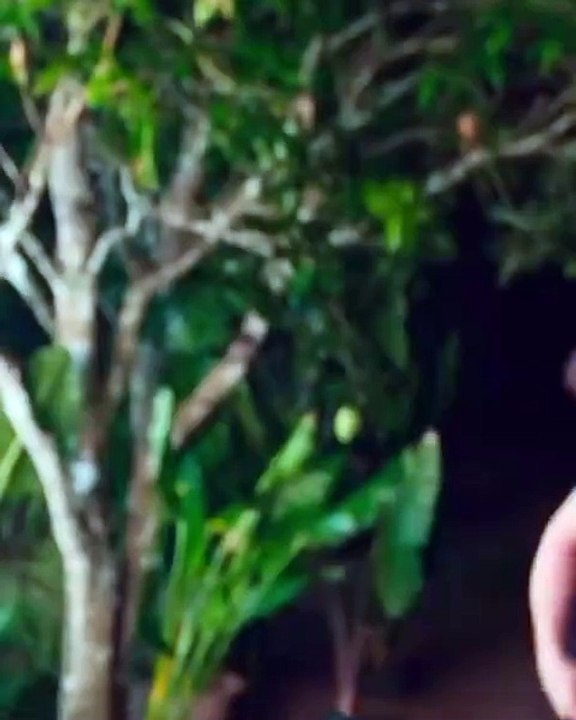 أنجلينا جولي مُهاجمة الانسحاب من أفغانستان: "بصفتي أميركية أشعر بالخجل من طريقة مغادرتنا"