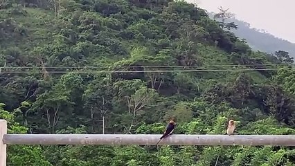 الأحجار الملوّنة وتمائم القوة والحماية أسلوبنا للتعبير عن تفرّدنا من مجوهرات TOHUM