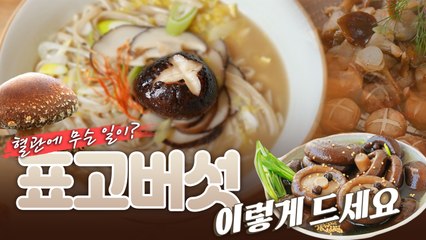 산이 주는 보물, 우리 임산물 숲푸드 – 1편 표고버섯 / YTN