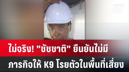 ไม่จริง! "ชัชชาติ" ยืนยันไม่มีภารกิจให้ K9 โรยตัวในพื้นที่เสี่ยง | เที่ยงทันข่าว | 7 เม.ย. 68