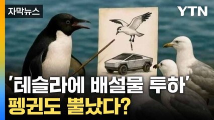 [자막뉴스] 펭귄도 '관세 시위?'... 여유만만 트럼프에 '조롱' / YTN