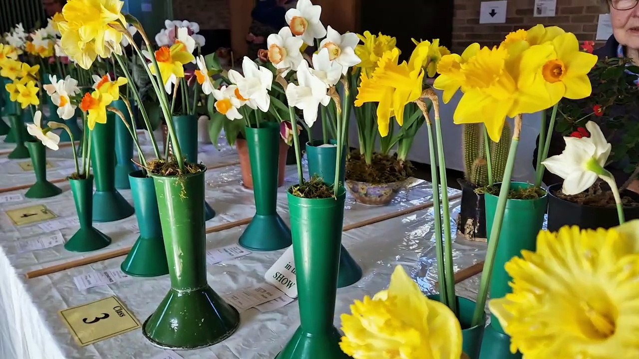Spectacular Haywards Heath Horticultural Society Spring Show