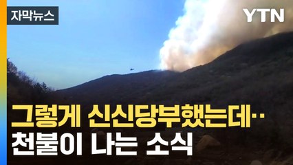 [자막뉴스] 최악의 산불 났던 그 인근서 또...예초기 쓰다 불난 듯 / YTN