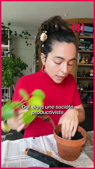 SIMONE - CHIT CHAT : Boutures & Chirurgie