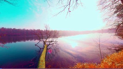 Lake Morning 4K 360 VR Birdsong, Nature, and Tranquility