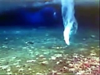 God's Touch Supernatural Events(lOffical Video)