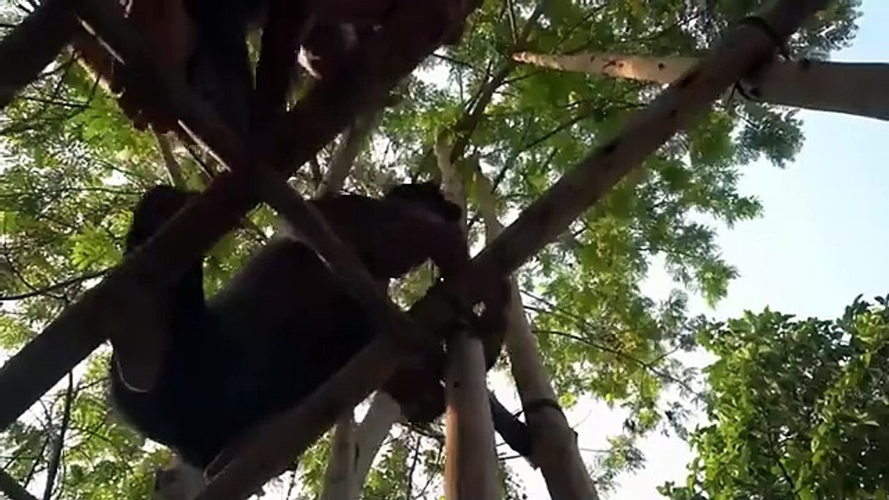 They’re Working Build Private Villa House, Water Well, Gym And Underground Swimming Pool In Forest