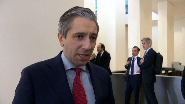 Droits de douane : cibler la tech américaine serait une « escalade extraordinaire », met en garde l'Irlande