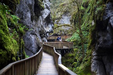 Şanını duyan koştu! Ortak noktaları internet: Nüfusu 10 katına çıktı