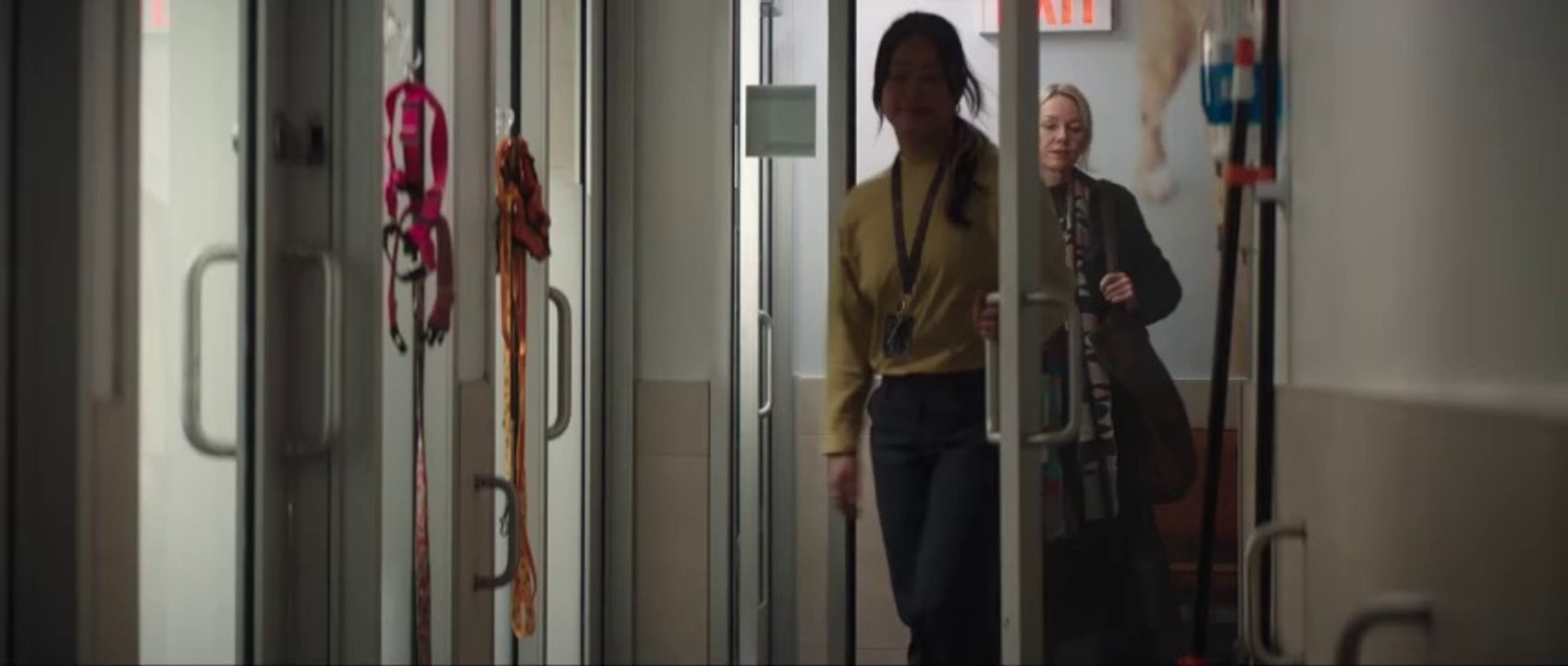 The Friend Trailer (2) OV