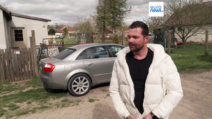 بعد دفن 3000 رأس ماشية في المجر... تحلل جثث الحيوانات النافقة وخشية من تلوث الآبار