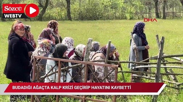 Budadığı ağaçta kalp krizi geçirip öldü