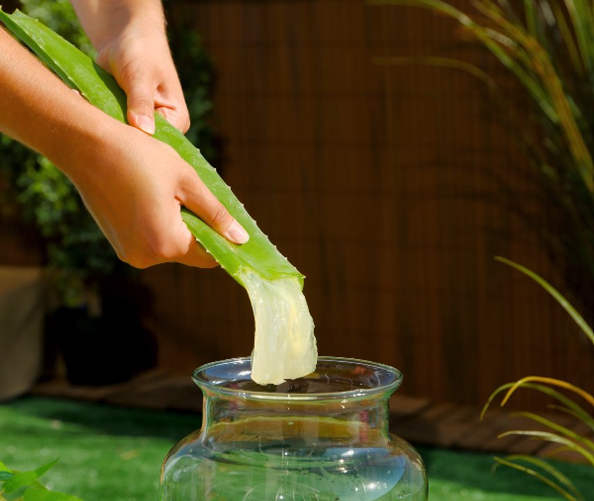 Genius gardening tips that will take your skills to the next level!