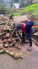 Wooden Craft With Bamboo By World Of Craft