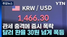 '블랙 먼데이' 관세 충격에 증시 5%대 폭락...환율은 폭등 / YTN