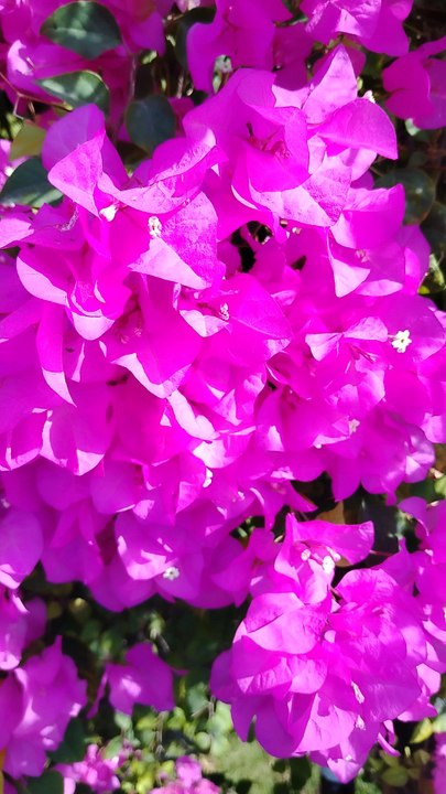 Love & Peace for all
