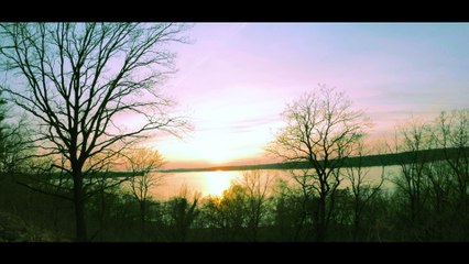 Incredible Birdsong Against the Setting Sun 4K