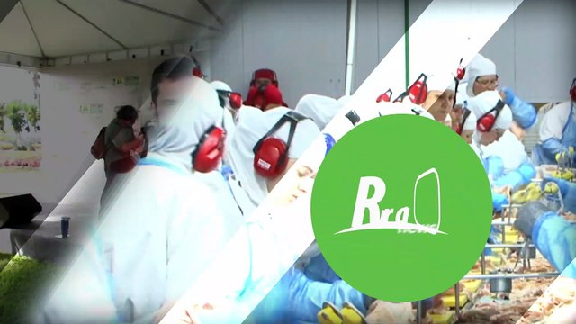Agronegócio é maior responsável pela geração de empregos em Goiás, afirma secretário de Agricultura