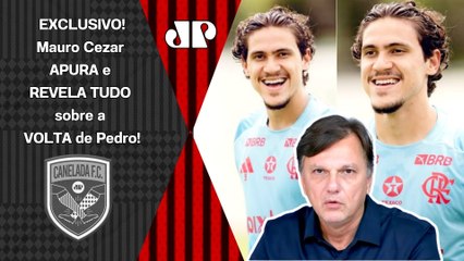 "Os MÉDICOS do Flamengo ME FALARAM que o Pedro..." Mauro Cezar dá INFORMAÇÕES EXCLUSIVAS!