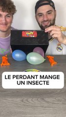 Tu aimes les insectes !! 🐛