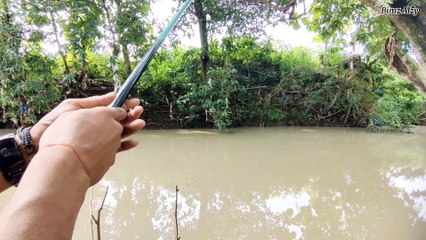 Mancing Saat Air Keruh Sehabis Banjir Hasilnya Ambil Hikmahnya