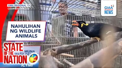 In Case You Missed It: Nahulihan ng wildlife animals; 'Di muna ipade-deport; Smuggled E-cigarettes at vape parts | SONA