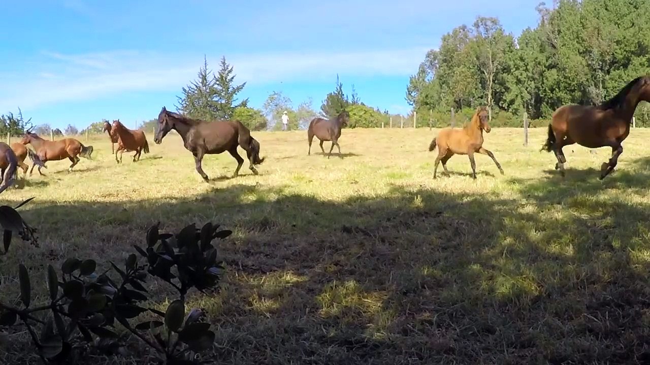 "Aab-e-Hayat ki Haqeeqat - Kya Yeh Zinda Rehne ka Raaz Quran mein Hai? islamic info story