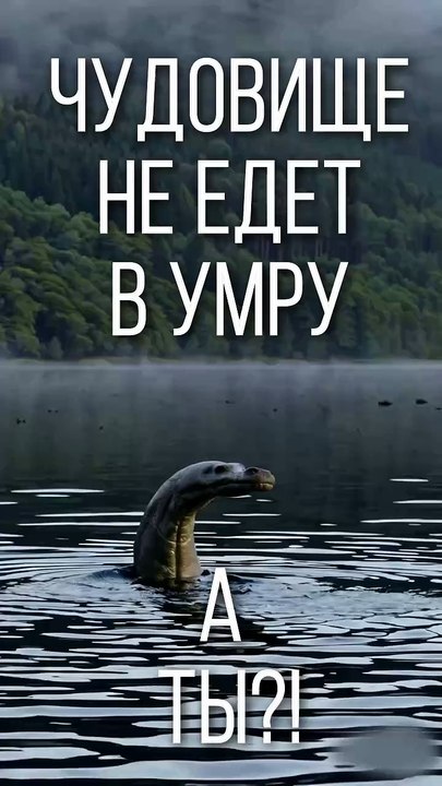 Чудовище Лох-Несса не может делать Умру… А ТЫ! У него нет шансов добраться до Мекки.
