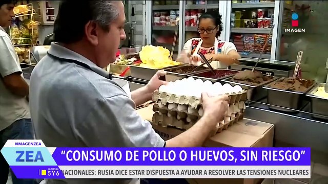 México confirma el primer caso humano de influenza aviar A (H5N1)
