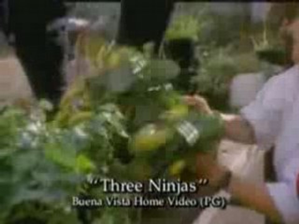 3 Ninjas (1992)