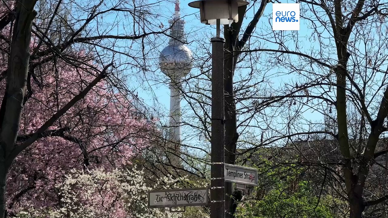 Kirschblüte in Berlin: Frühlingsbote blüht immer früher