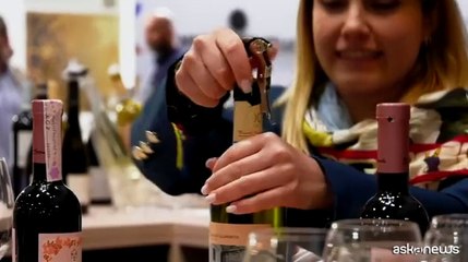 Vinitaly, la Sicilia dell'eccellenza vinicola guarda all'enoturismo