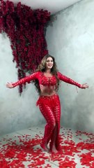 Saleemoffical presentation - rose 🌹 theme #rose