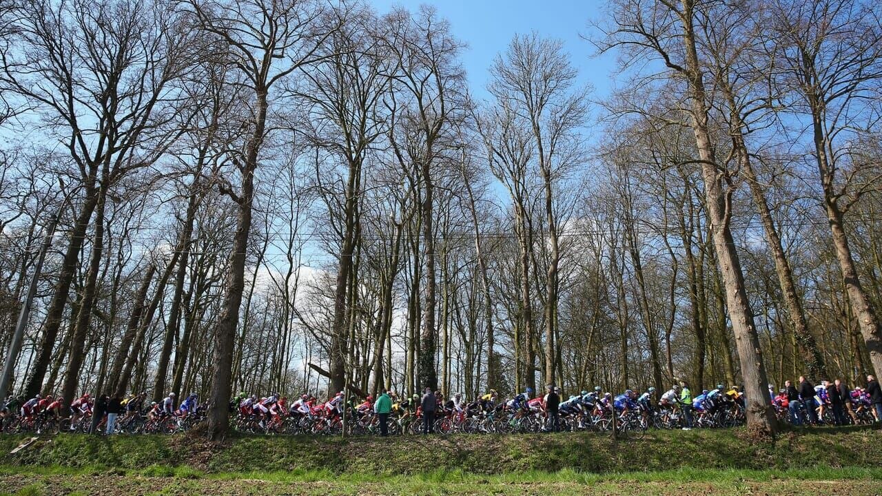 Tour des Flandres - Cyclisme UCI World Tour 2025