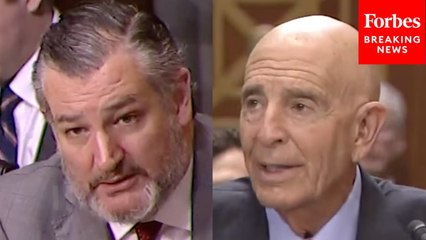 Ted Cruz Presses Ambassador Nominee On 'Collision Course' Between US, Turkey Over ICC Arrest Warrant