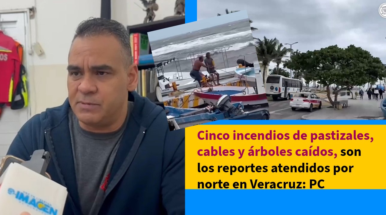 Cinco incendios de pastizales, cables y árboles caídos, son los reportes atendidos por norte en Veracruz: PC