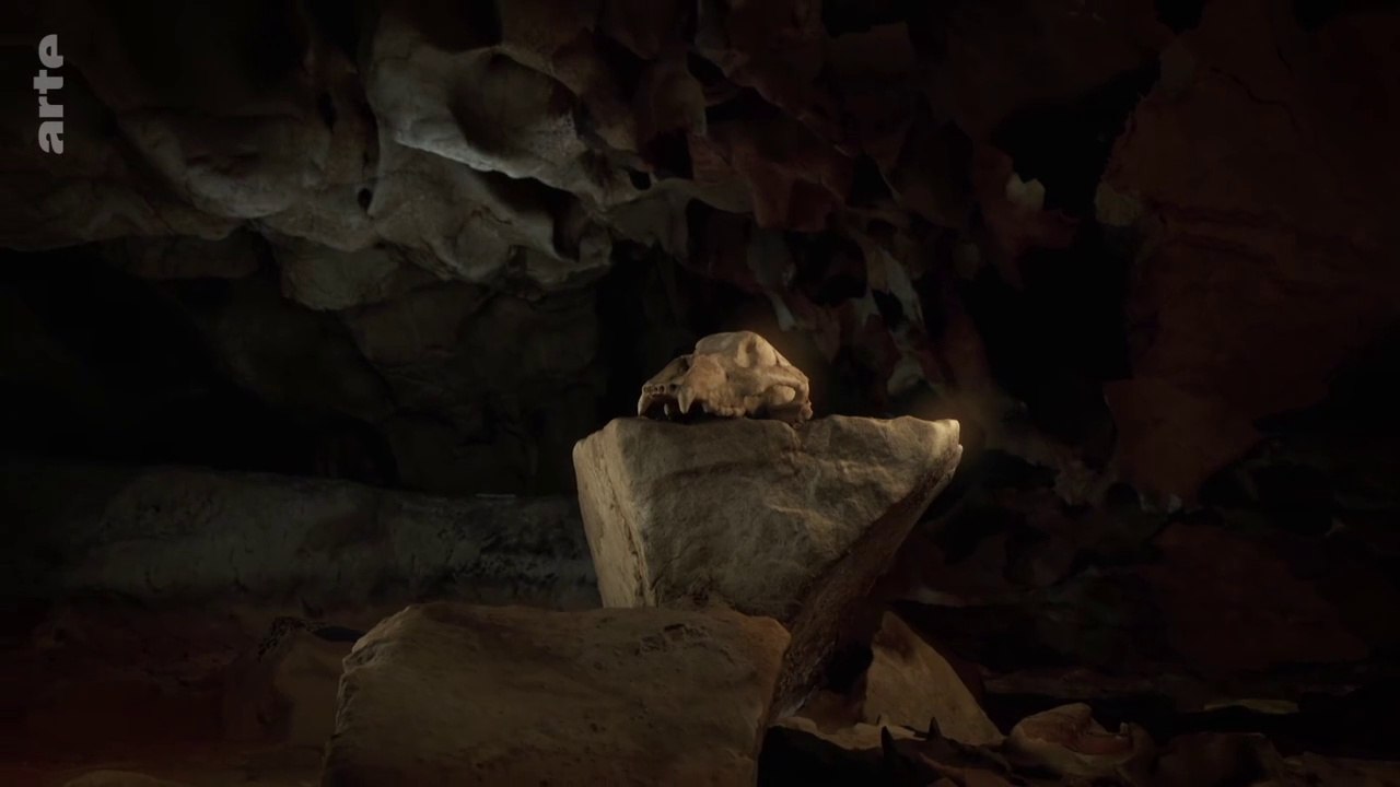 Grotte Chauvet - Dans les pas des artistes de la Préhistoire