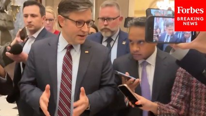 Speaker Mike Johnson Calls To Give Trump Space On Implementing Tariff Policy