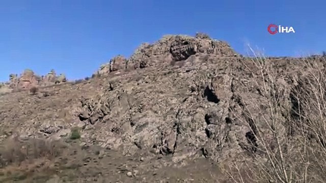 Yaban keçilerinin ustaca tırmanışı kamerada