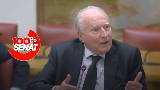 100% Sénat - Aides publiques aux entreprises : audition de Vinci