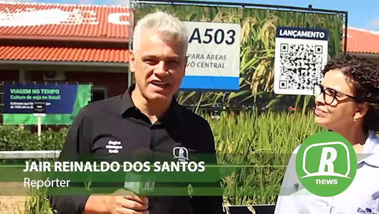 Embrapa apresenta nova variedade de arroz durante a Tecnoshow 2025