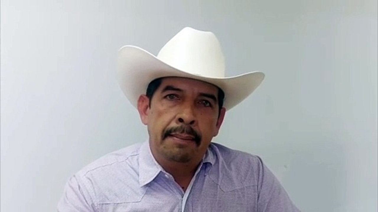 Gripe aviar en Durango: no se han detectado casos POSITIVOS en granjas avícolas del estado